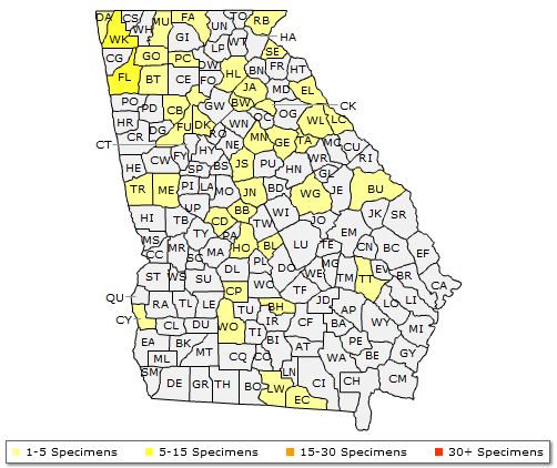 The Georgia range of Ulmus rubra